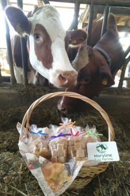 Photo 1 - Les Petits Artisans - www.lespetitsartisans.ch - Maryline Cretegny